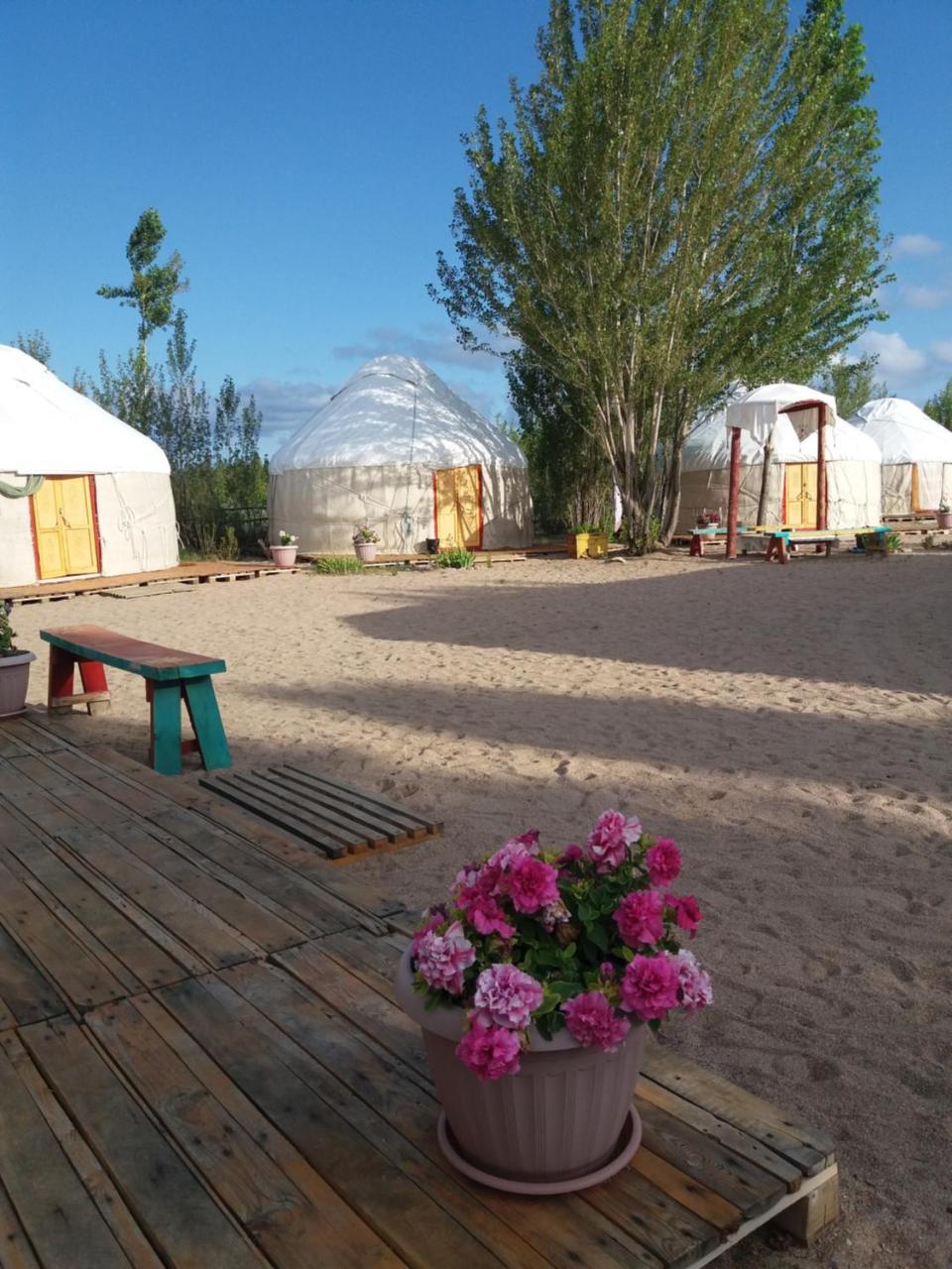 Yurt Camp Tosor Hotel Ngoại thất bức ảnh