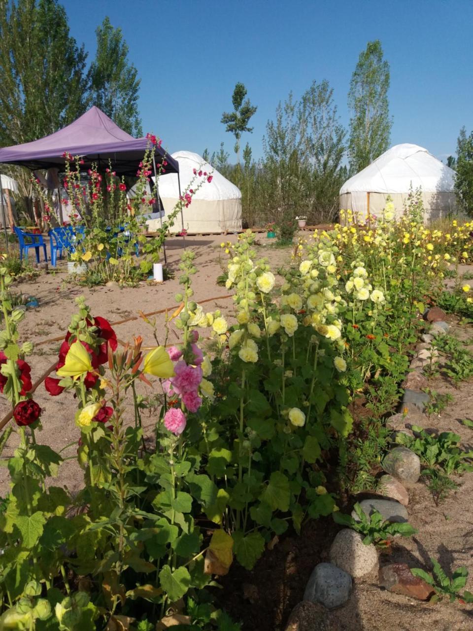 Yurt Camp Tosor Hotel Ngoại thất bức ảnh